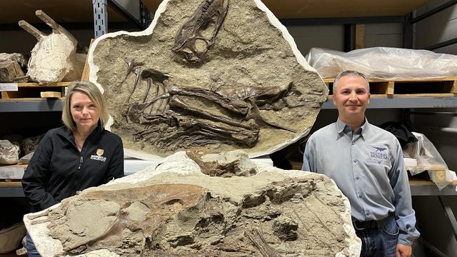 19-francois-therrien-right-and-darla-zelenitsky-left-with-gorgosaurus-preserving-stomach-contents-landscape-copyright-royal-tyrrell-museum-of-palaeontology.jpg 