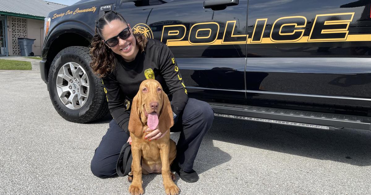 Miramar police welcome new bloodhound from Jimmy Ryce Heart