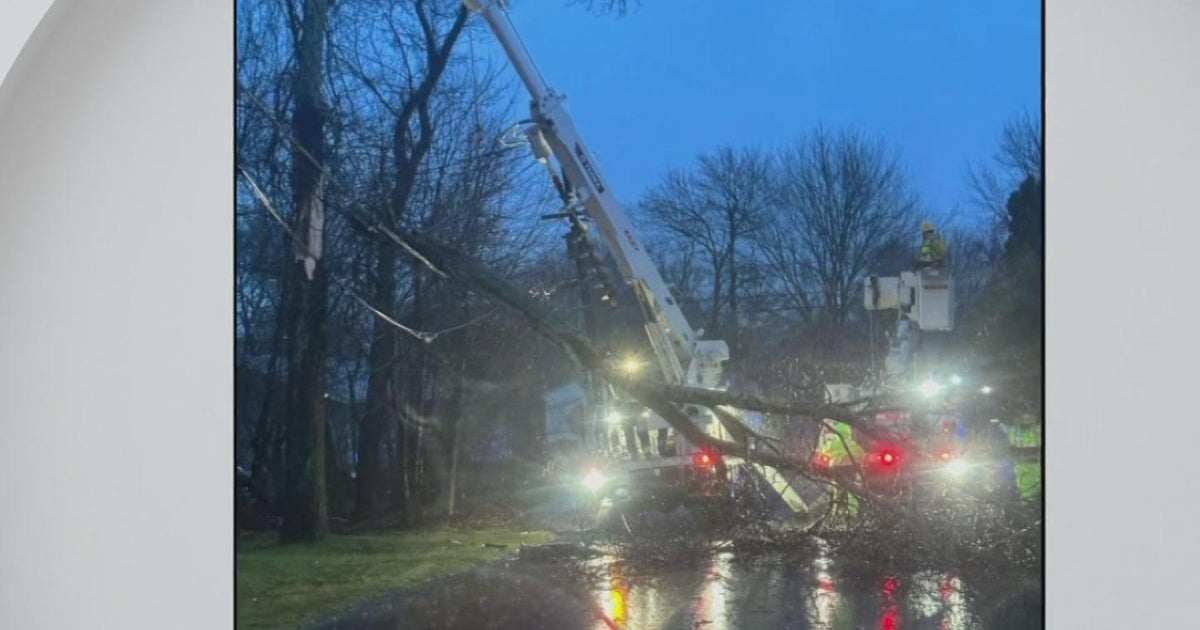 Damaging winds bring down trees, knock out power to thousands in ...