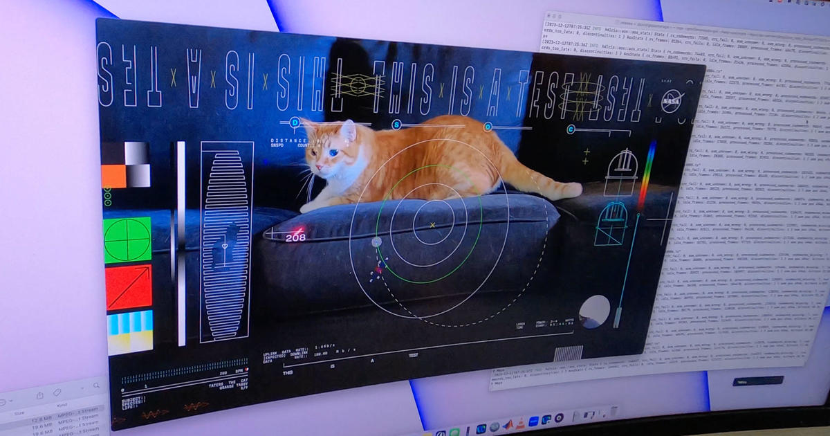 НАСА използва лазер, за да изпрати видео на котка на име Тейтърс на разстояние над 19 милиона мили