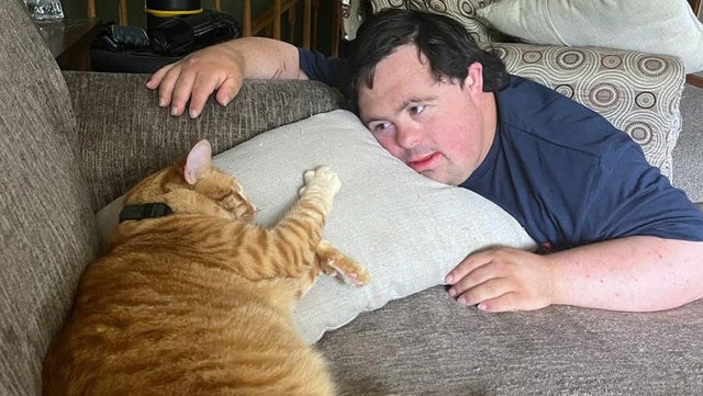 $1,000 reward offered for information on who shot Cottage Grove family's cat 