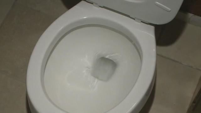 toilet-flush.jpg 