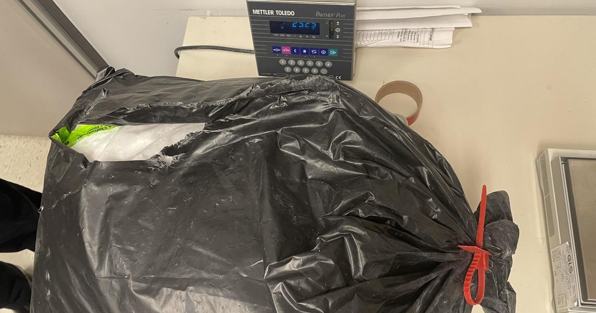 110 паунда кетамин открити в багаж на пътник на летище Детройт Метро