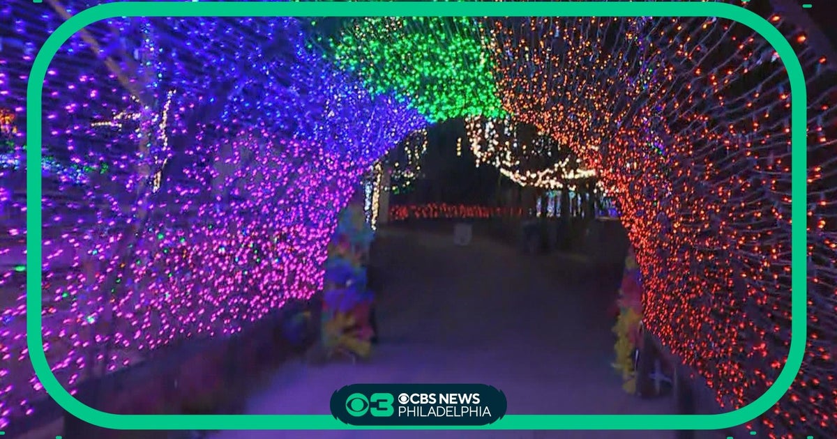 HolidayFest 2023 Wild Lights returns at Elmwood Park Zoo CBS