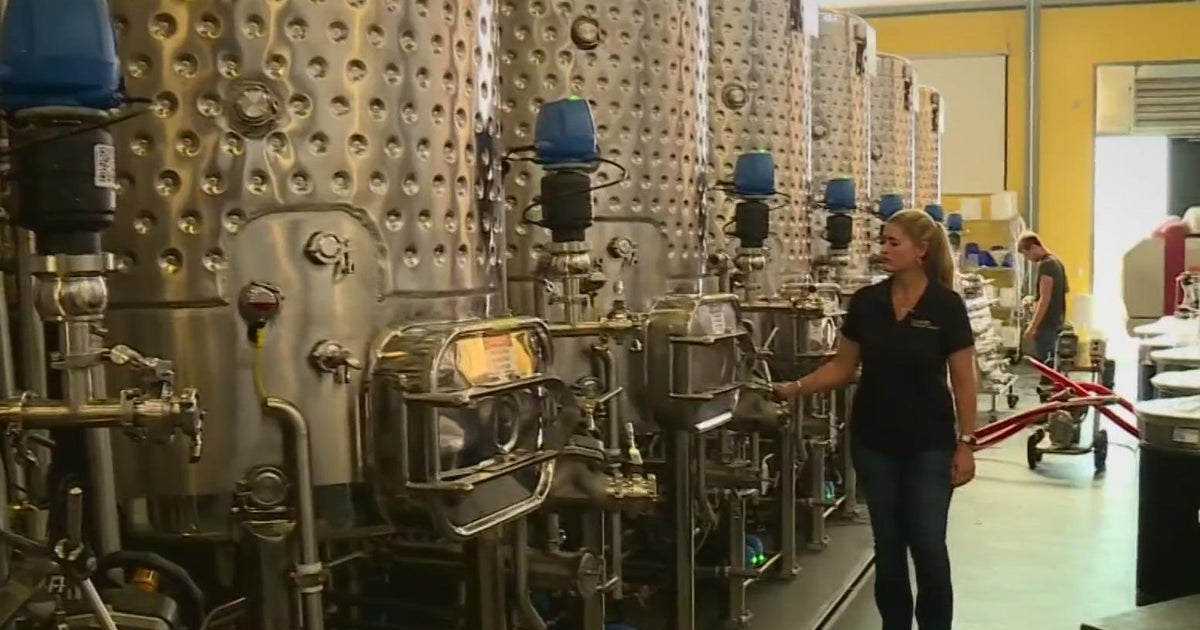 It was a bittersweet year for some Northern California wine growers