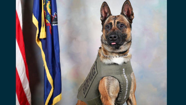 pennsylvania-state-police-k-9s-gifted-body-armor.jpg 