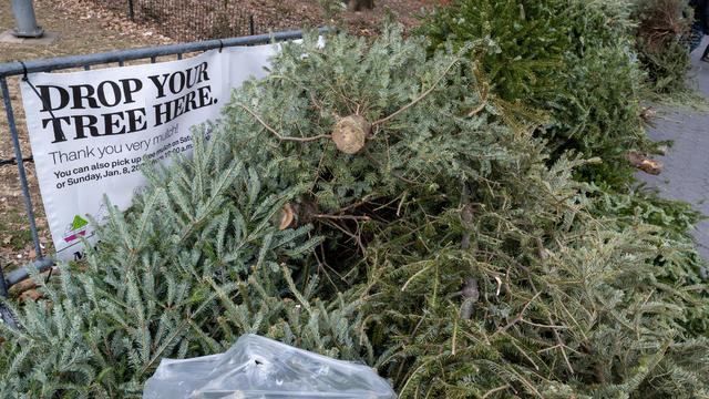 New York City Celebrates The Holiday Season 