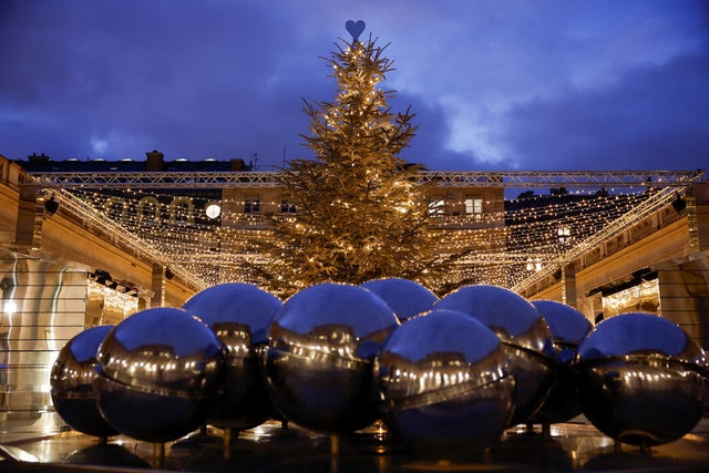 A view of a Christmas tree at the galerie d'Orleans during Christmas season in Paris 