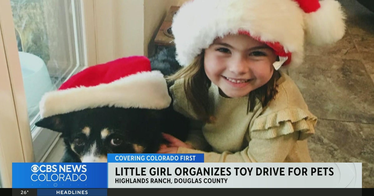 9-year-old's pet drive receives big community support - CBS Colorado