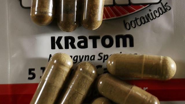 Florida Struggles With Legal Herbal Supplement Which Mirrors Opiate Narcotic Effects 