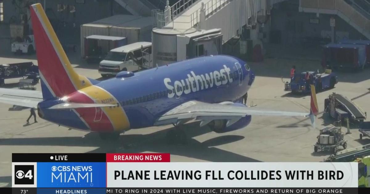 Southwest flight to Austin returned to Fort Lauderdale after aircraft struck a bird