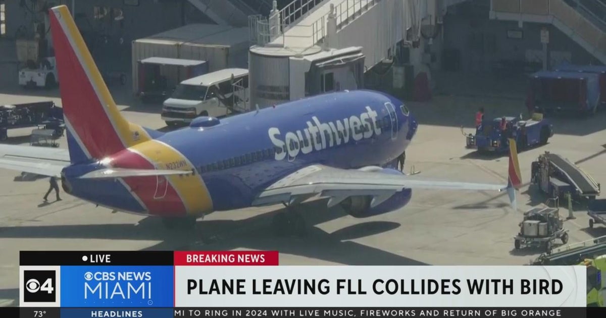 Southwest flight to Austin returned to Fort Lauderdale after aircraft struck a bird Southwest flight to Austin returned to Fort Lauderdale after aircraft struck a bird