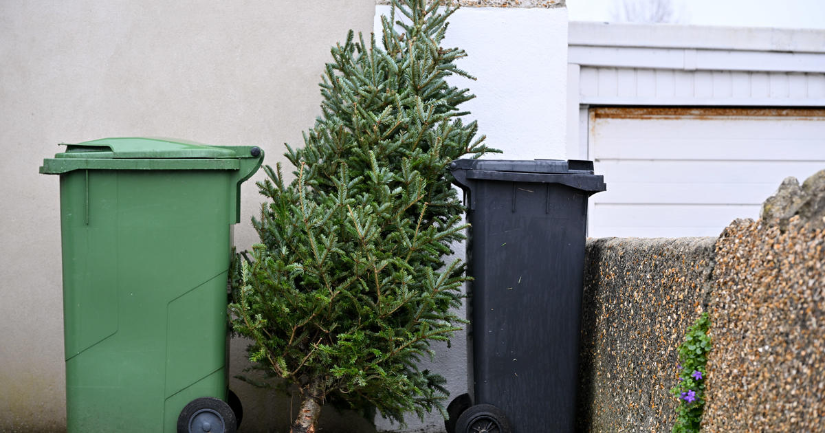When to take your Christmas tree down, and how to dispose of it