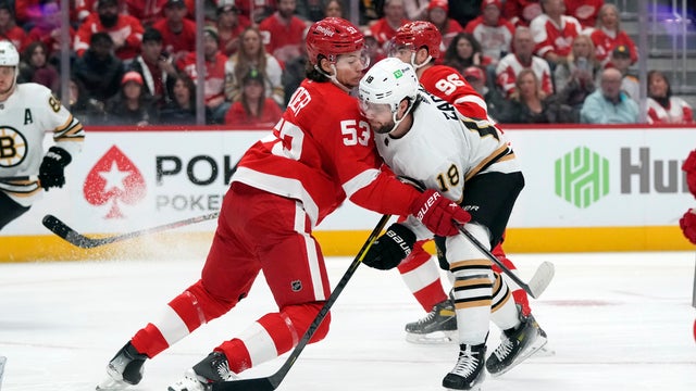 Bruins Red Wings Hockey
