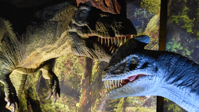 dilophosaurus-and-guanlong.jpg
