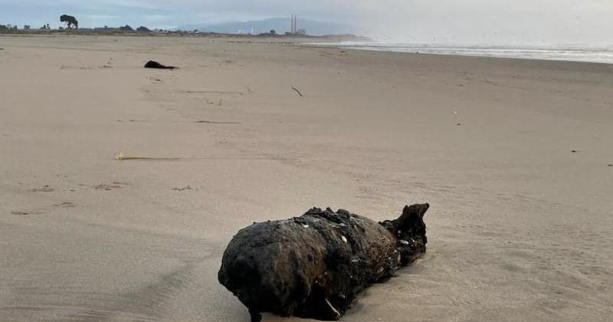 Stormy weather washes up inactive WWII bomb at Santa Cruz County