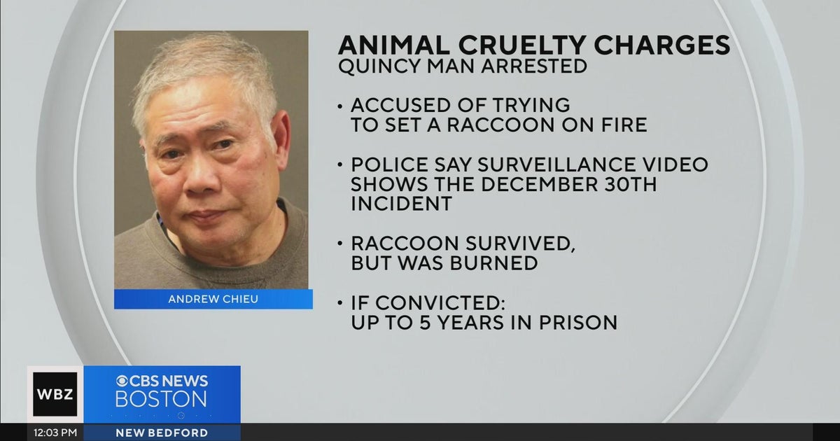 Quincy man charged with animal cruelty after allegedly lighting raccoon ...