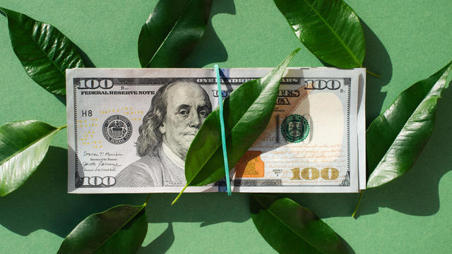 US dollar banknotes. Money. Banknotes. 100 dollar bill. Dollars and green leaves. Greenery. 