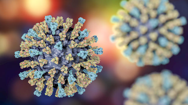 Measles virus, illustration 