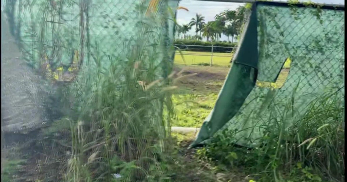 Horses stolen, slaughtered in SW Miami-Dade Horses stolen, slaughtered in SW Miami-Dade