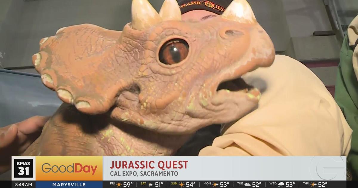 Jurassic Quest At Cal Expo Good Day Sacramento