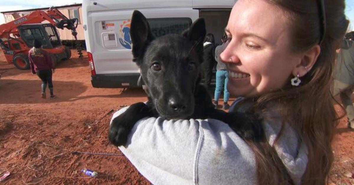 Volunteers work to bring pet care to rural areas with veterinary shortages