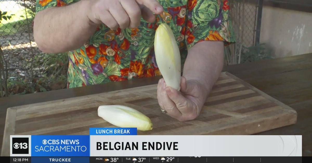Lunch Break: Belgian Endives