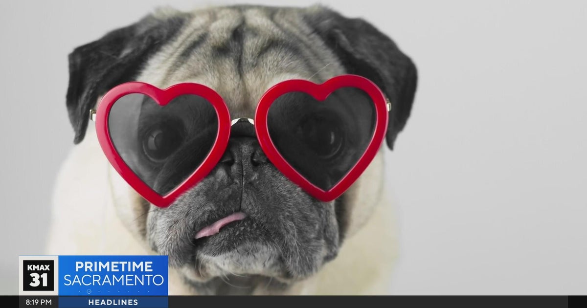 Sacramento Speaks: Love