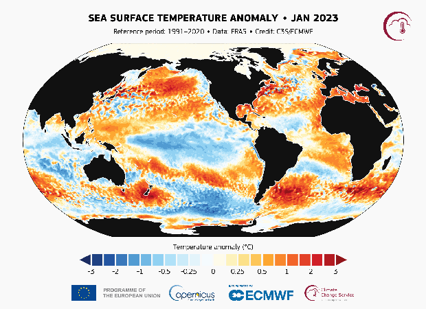 fig6-gch2023-era5-sst-anomaly-monthly-2023-animation.gif 