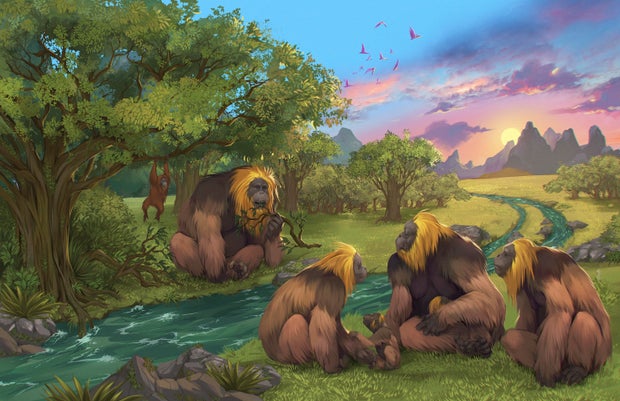 This illustration provided by researchers depicts Gigantopithecus blacki in a forest in the Guangxi region of southern China.