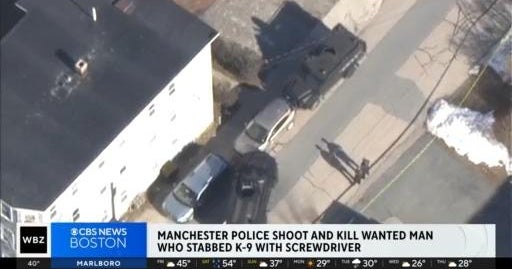 Man killed in police shooting in Manchester, New Hampshire; K9 injured ...