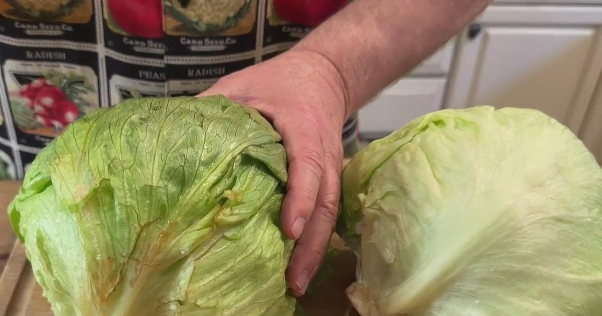 Lunch Break: Freezing lettuce
