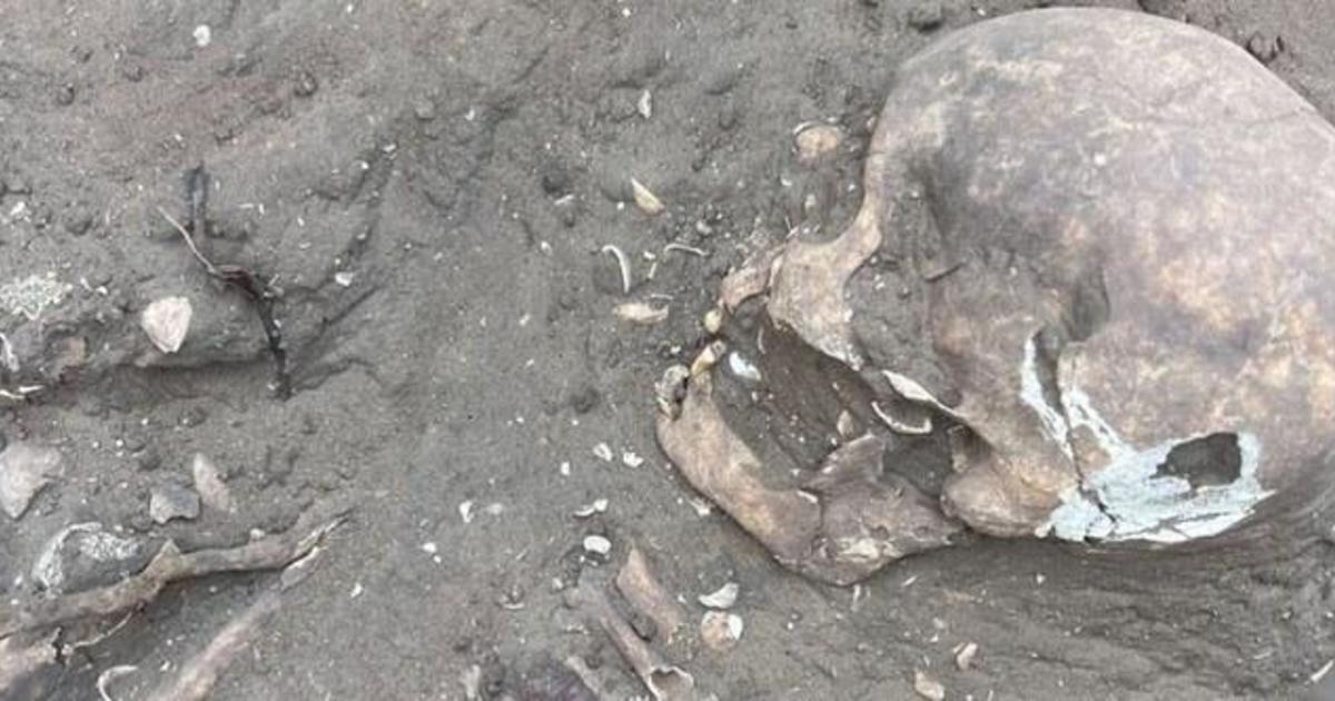 Treasure trove of ancient artifacts and skeletons found in Brazil could rewrite country’s history, archaeologists say