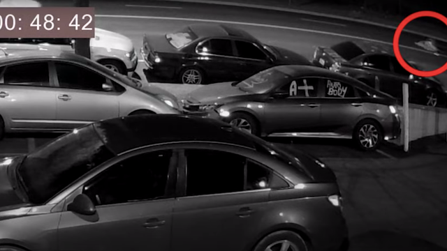 Light Bar on Police Car 