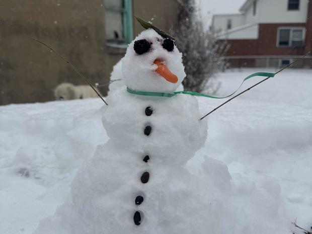 beatriz-cerqueira-snowman-by-beatriz-and-donna-in-aldan-pa.jpg 