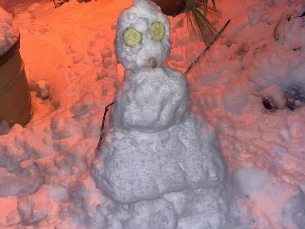 vanessa-gaitanos-snowman.jpg 