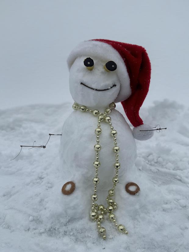 alena-alafyeva-on-bustleton-ave-snowman.jpg 
