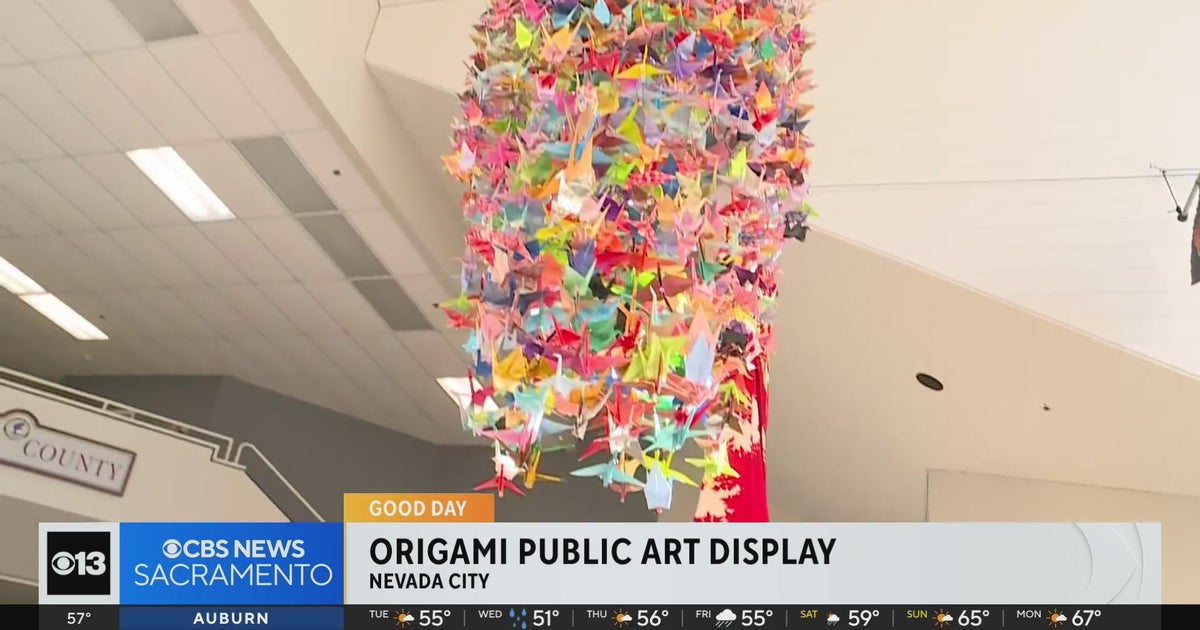 Nevada City public art display features origami