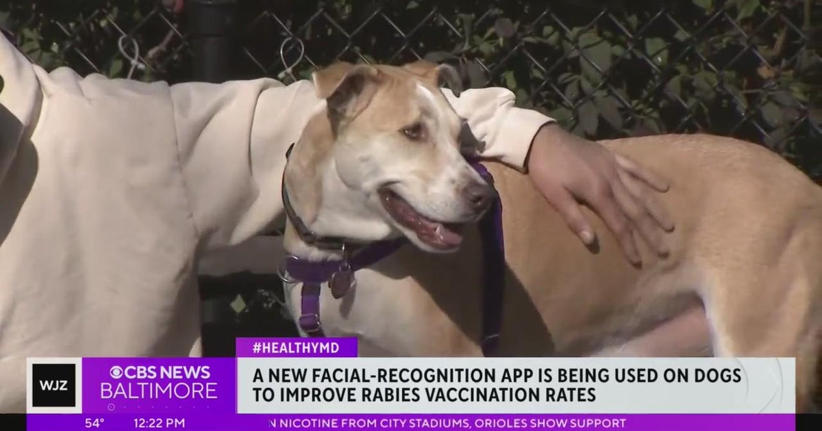 Healthwatch: Facial recognition app being used on dogs to improve ...