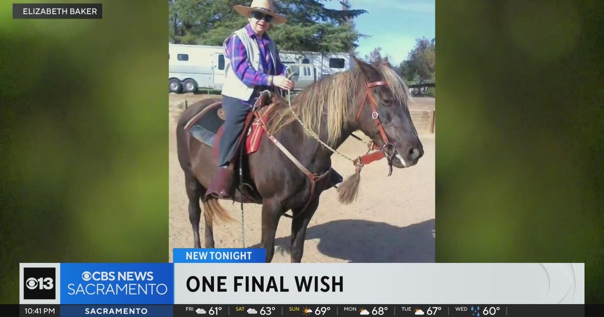 Amador County hospice patient wanted only to touch a horse one last time