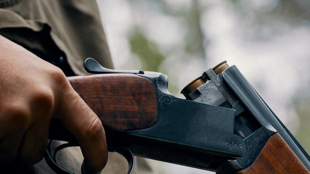 Hand of a hunter with an open shotgun with cartridges during a hunting day in woodland 