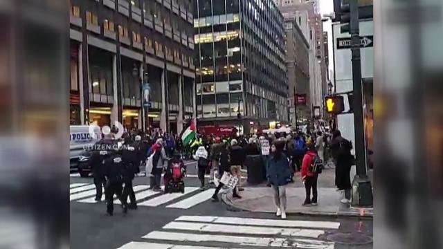 Crowds of demonstrators on sidewalks and in New York City streets. 
