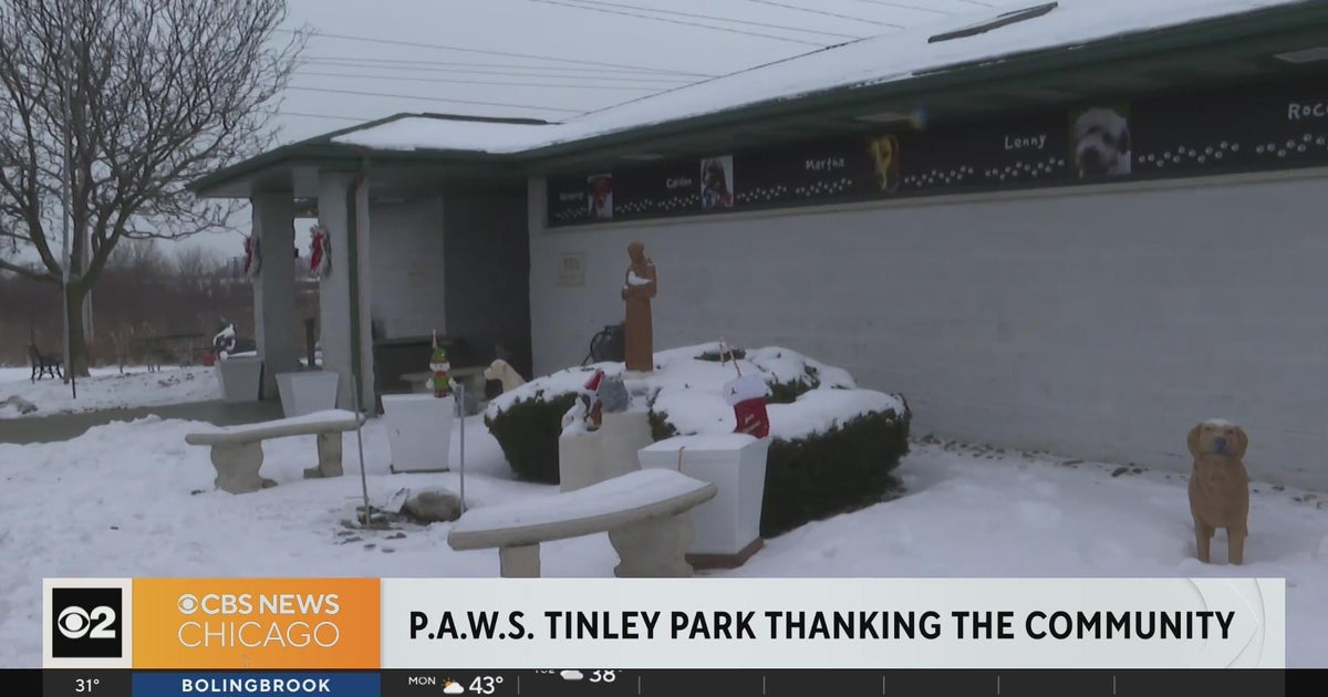 P.A.W.S. of Tinley Park to remain closed 4 to 6 more weeks after fire