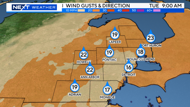 futurecast-wind-gust-and-direction.png 