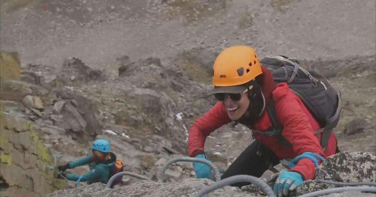 A. Climbers with collecting and tree climbing gear. Note hard hat