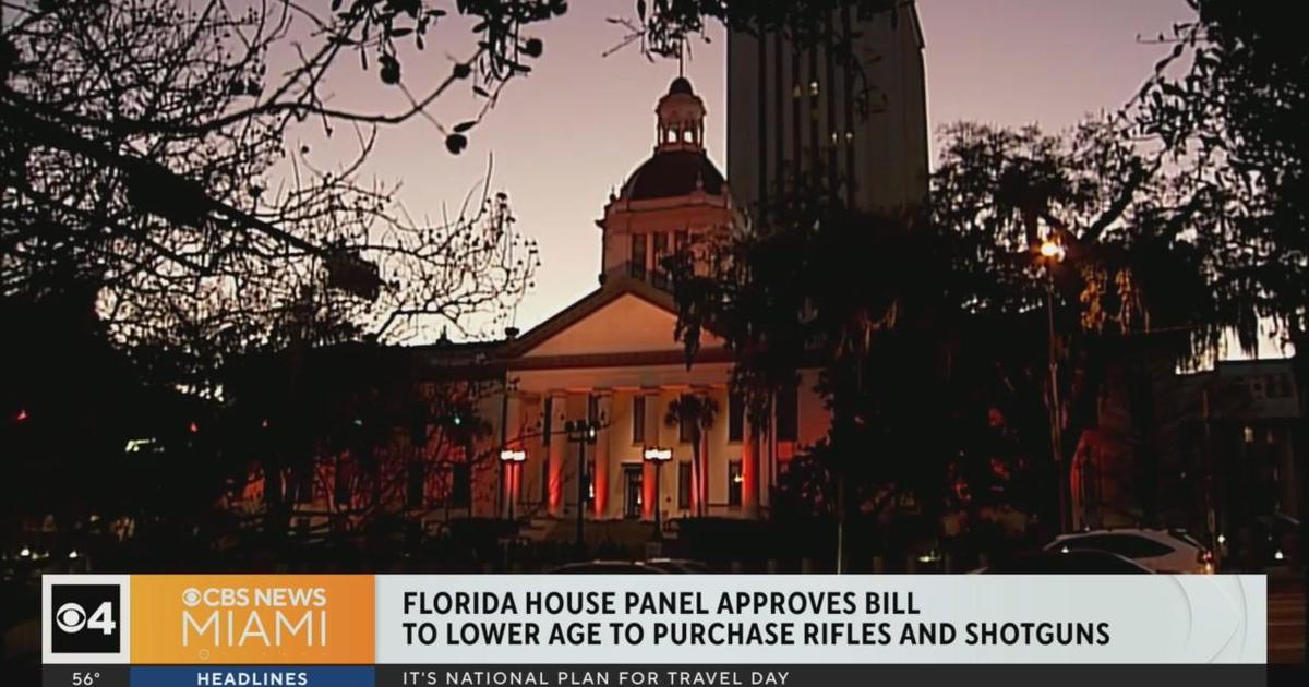 Florida House panel passes invoice to decreased the age to purchase rifles, shotguns