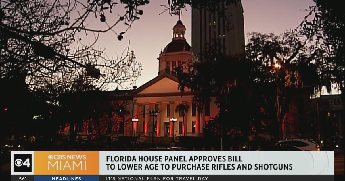 Florida House panel passes invoice to decreased the age to purchase rifles, shotguns Florida House panel passes invoice to decreased the age to purchase rifles, shotguns