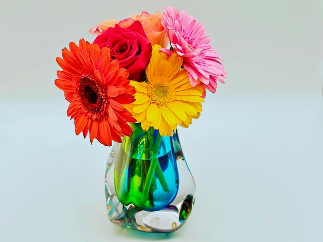 OnePlus 12 Smartphone Review 