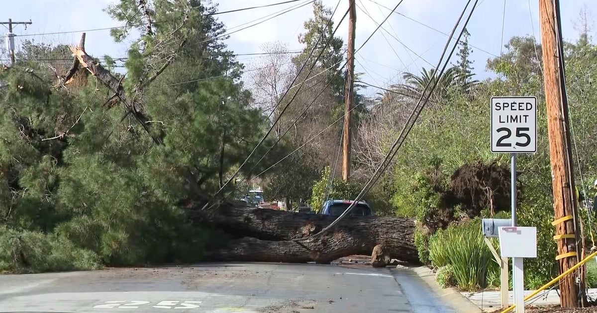 Aftermath of storm brings wild Bay Area weather including Sonoma County ...