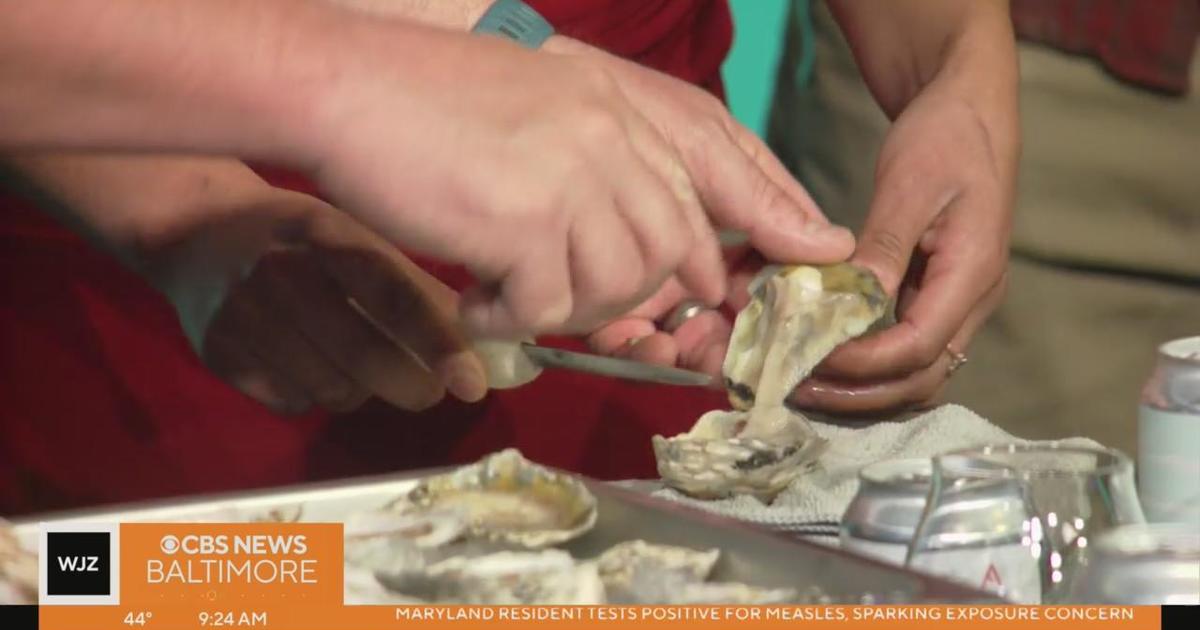 Annapolis Oyster Co. shows us how to shuck an oyster, the right way ...